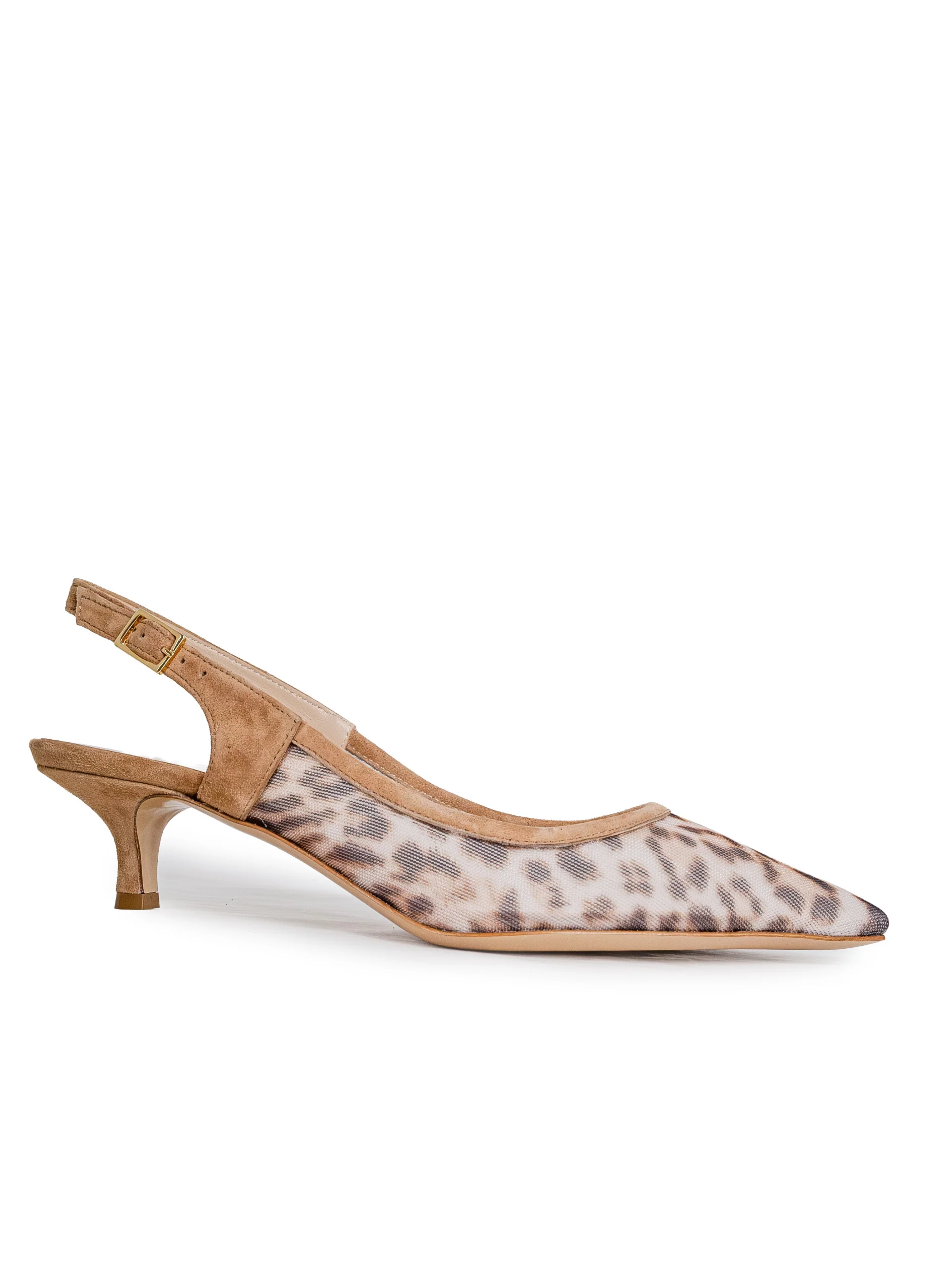 Sassuolo Leoparda | Viranico